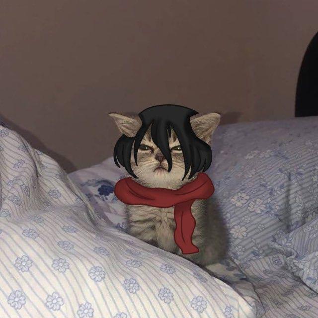 Standzzzz1 avatar