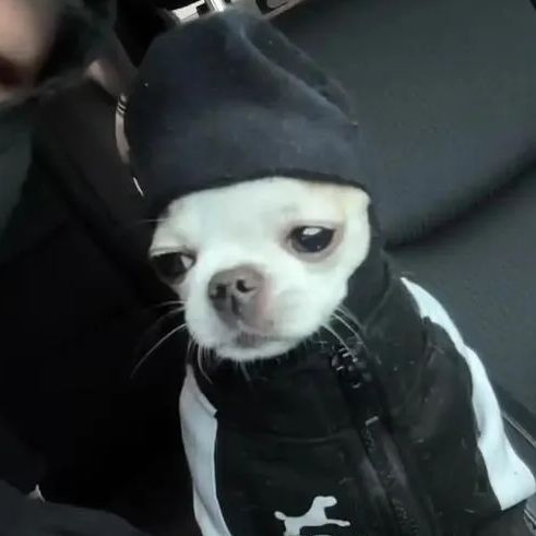 teeksdagod