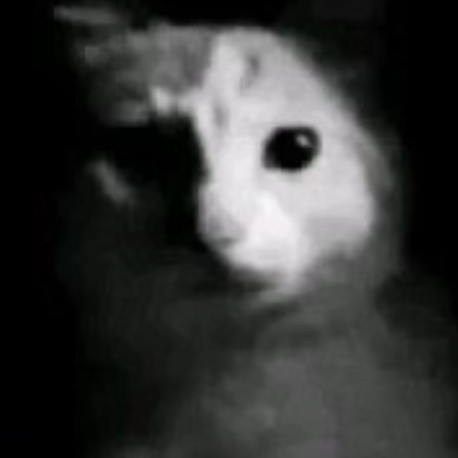 endercat07 FACEIT avatar