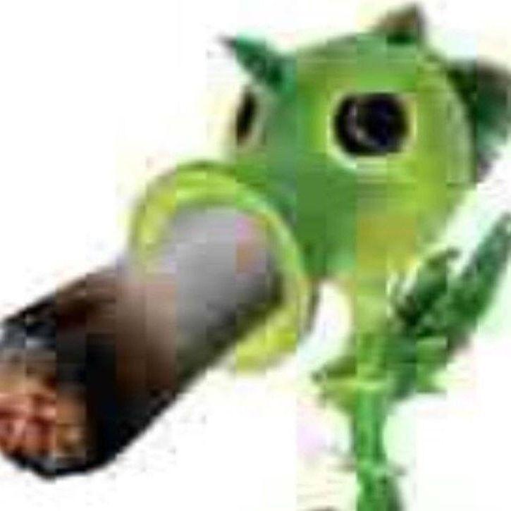 ChameleonZ1 avatar