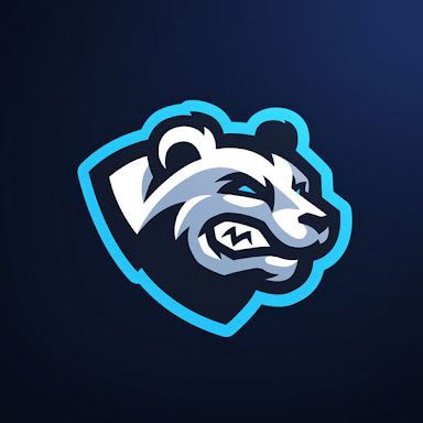 Team BeArS