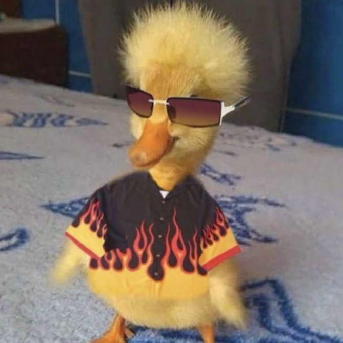 GiZzmo_ avatar