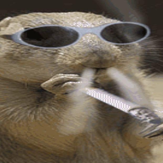 cX_20