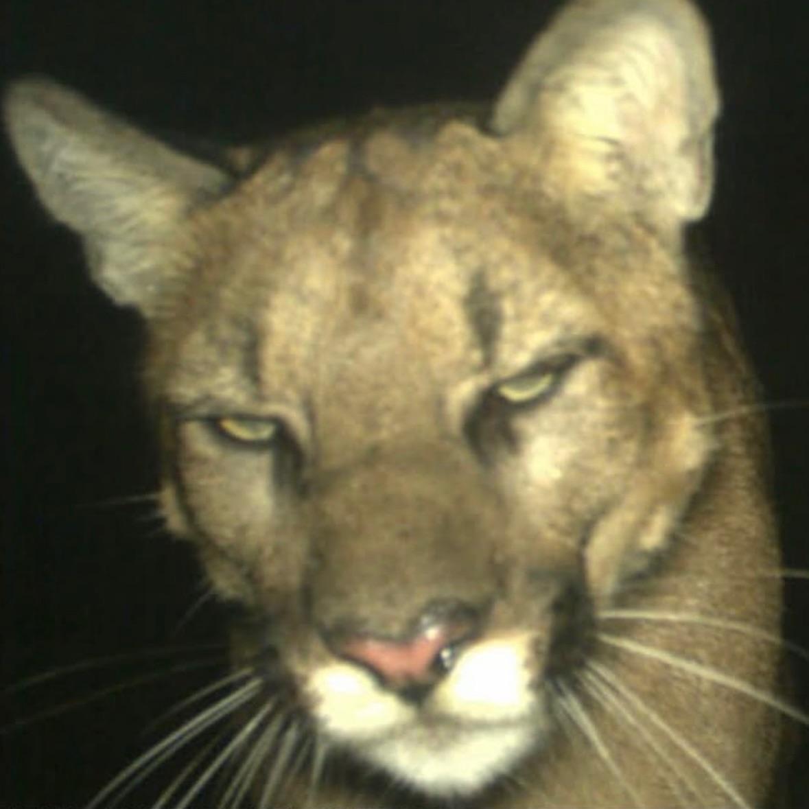 ek0s1stema avatar