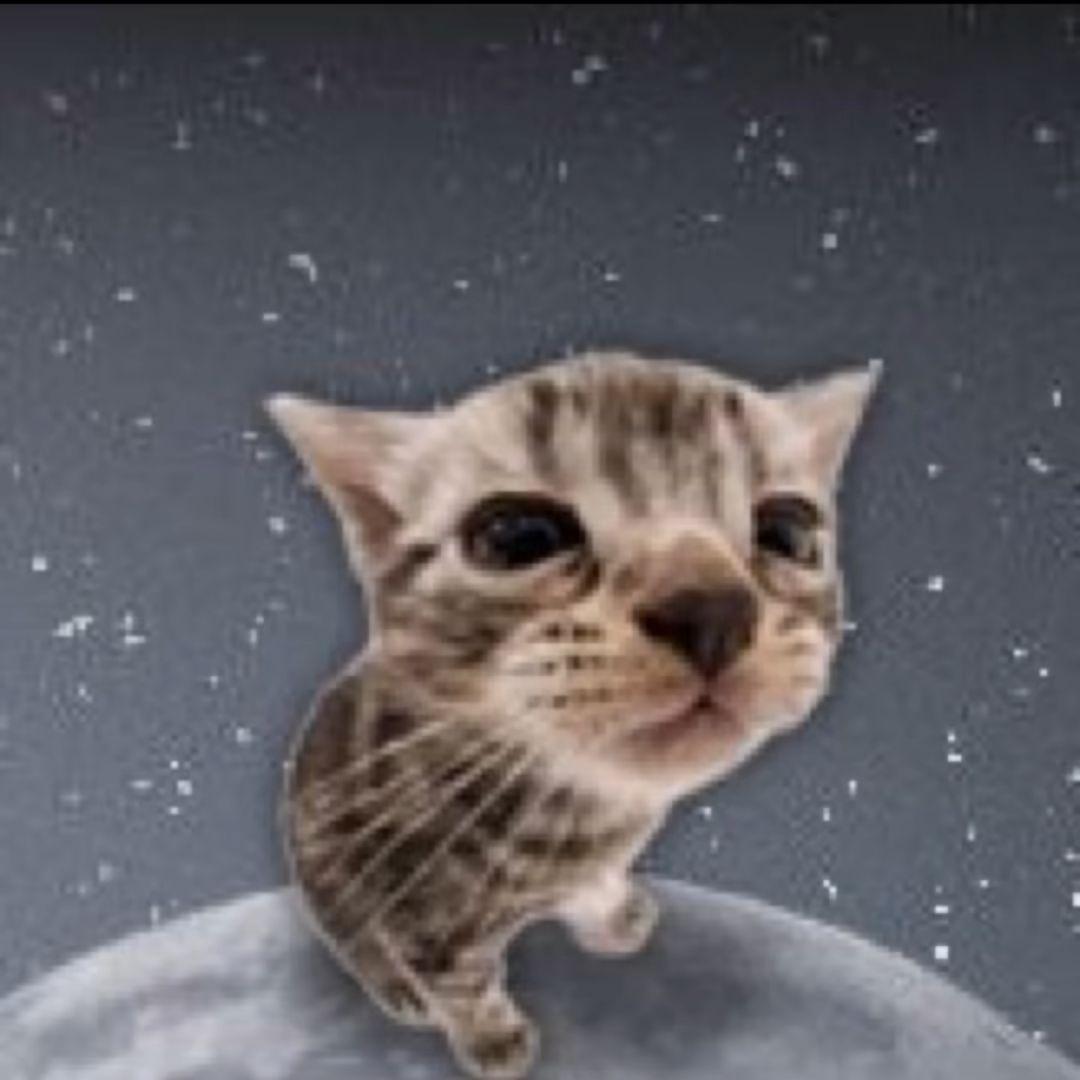 STlPA avatar