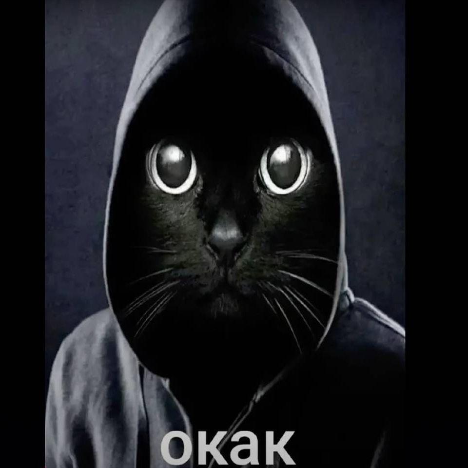 ppposss666 avatar