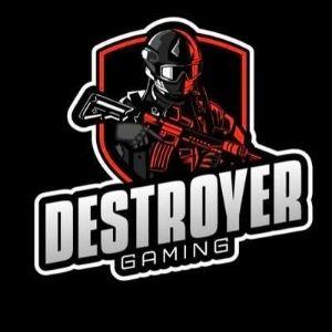 Player DestroyerMX avatar