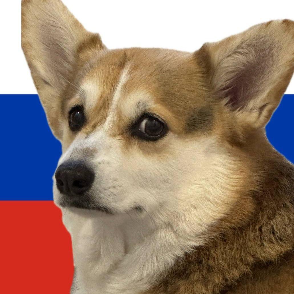 lilgoose avatar