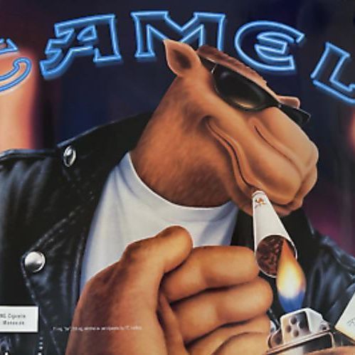 Joe-CameI