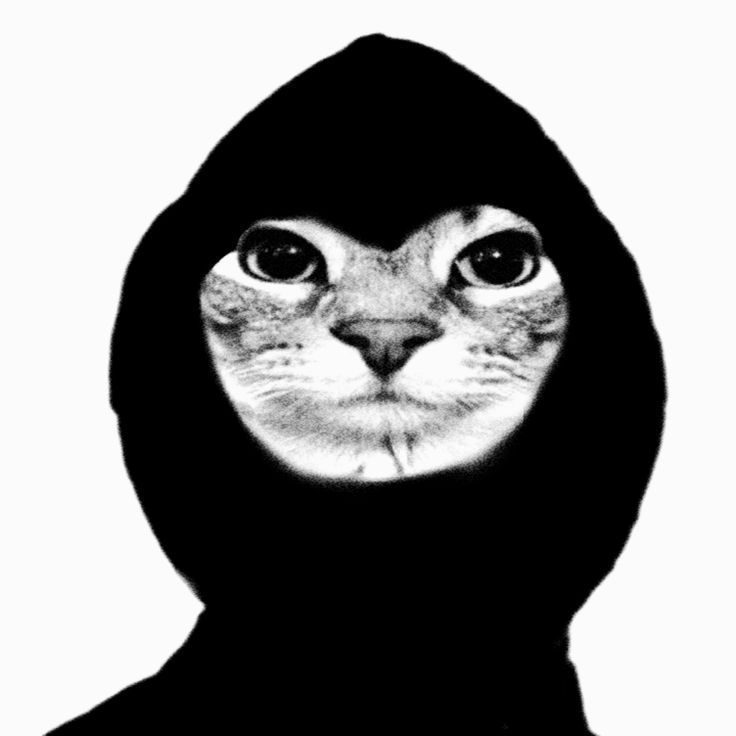 Faceit Avatar