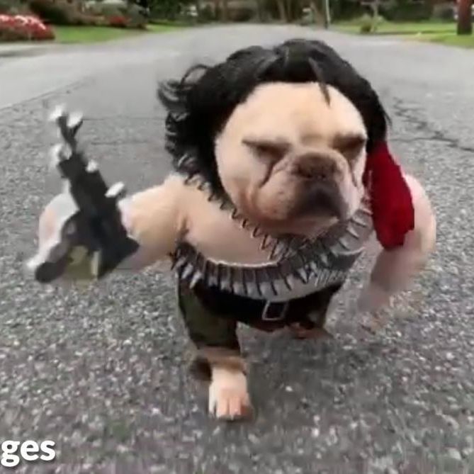 B0RBOSS