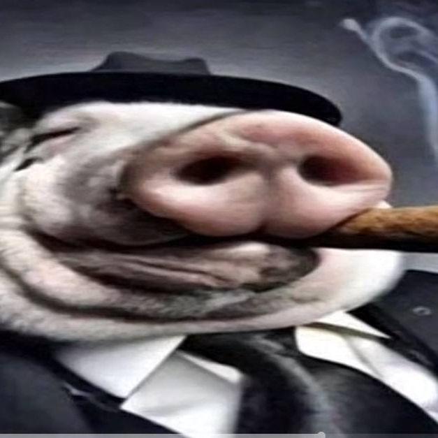 kodhack avatar