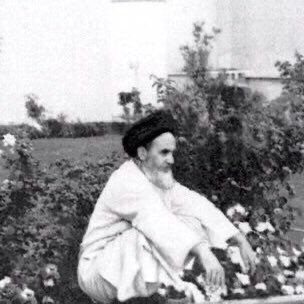 Mehrdad41