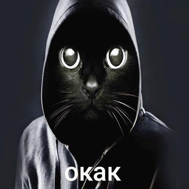 Qyvix avatar