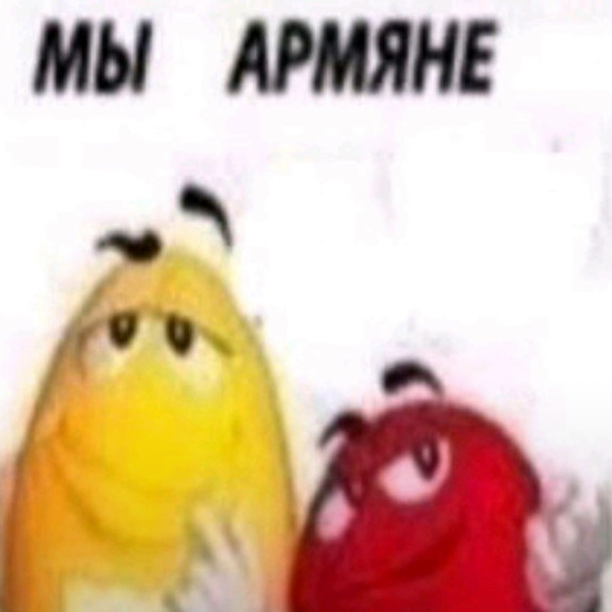 artemnasmene