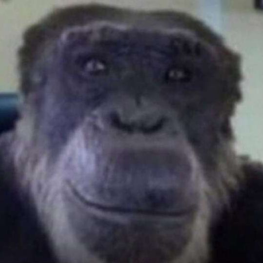 RubaSliperMe