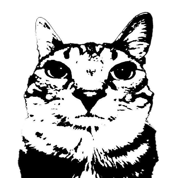 eff666 avatar
