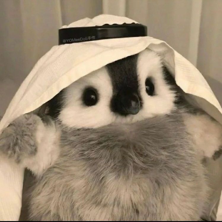 veparr