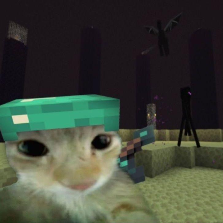 n0mzzz avatar