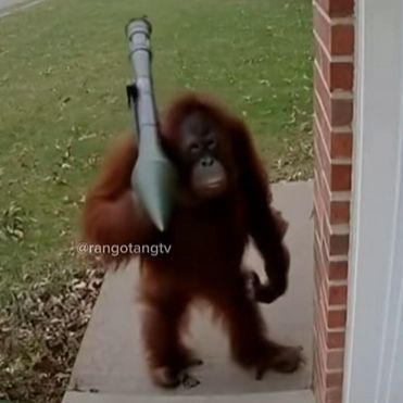 HaLp3r_