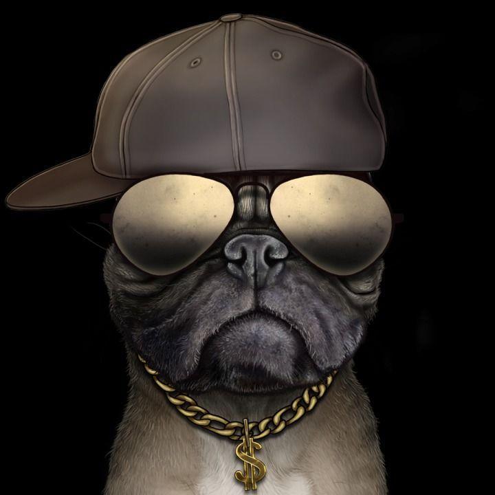 AntoX2k avatar