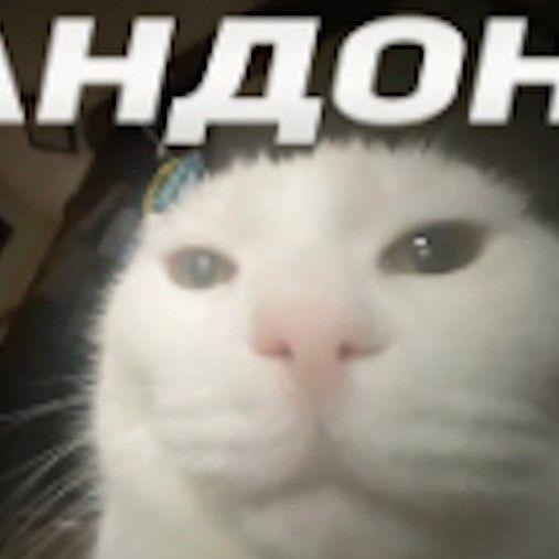-pajson avatar