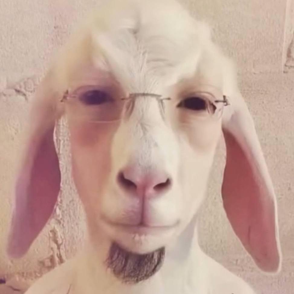 erzyx avatar