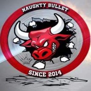 naughtyBull avatar