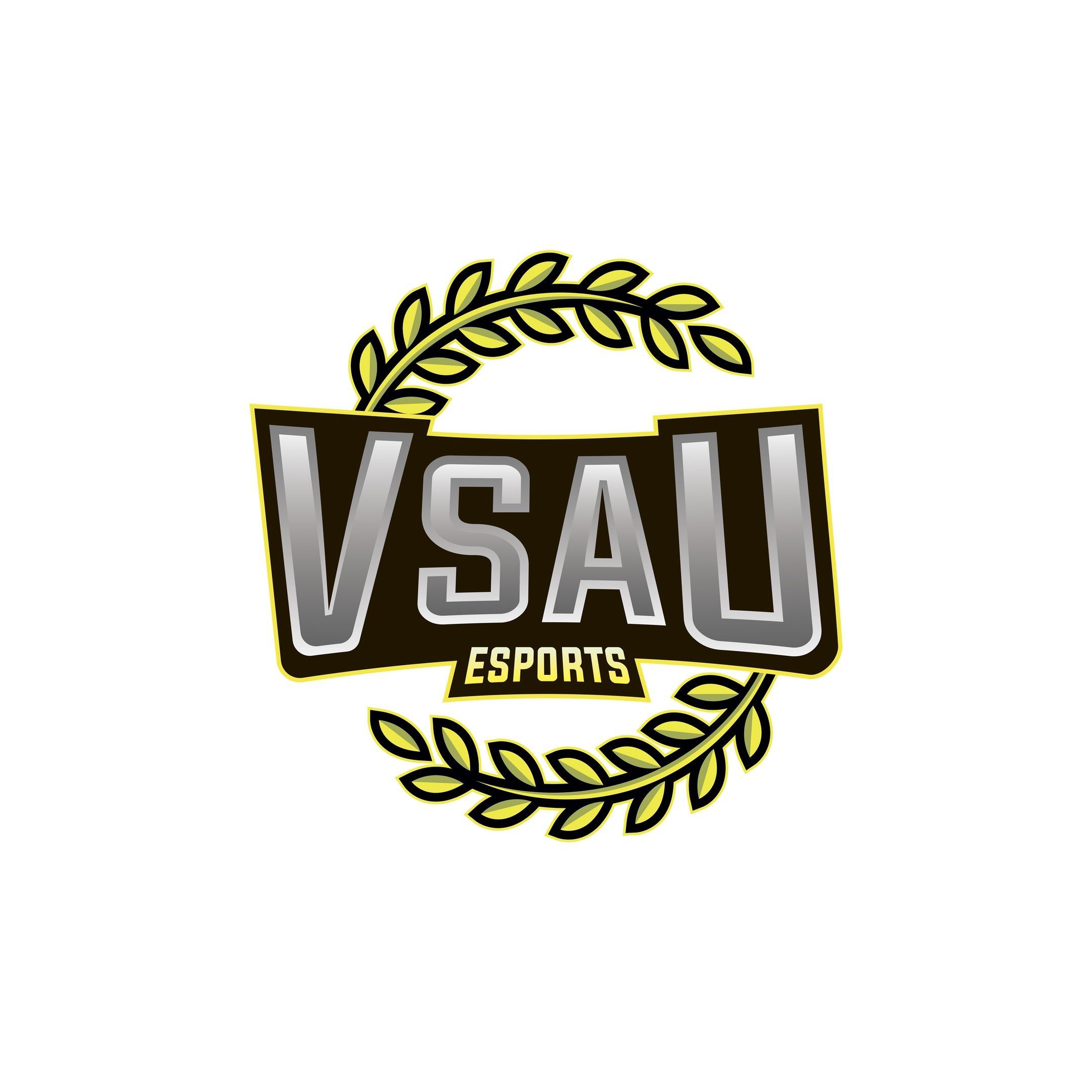 VSAU ESPORTS