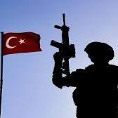 turkey2