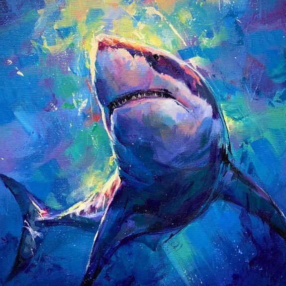 Sharkbite