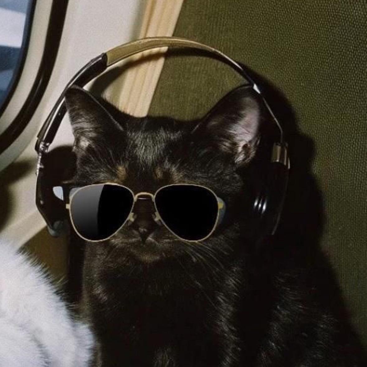 Tims avatar
