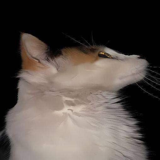 yungkir_