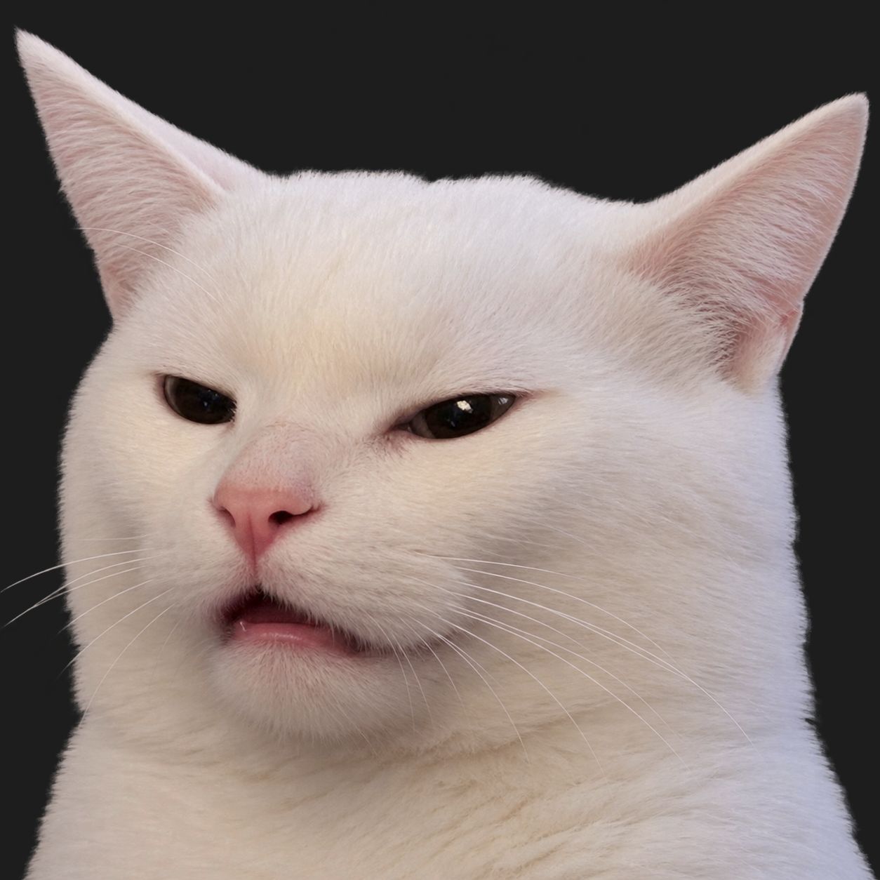 Faceit Avatar