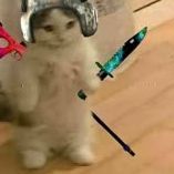 Snip_00