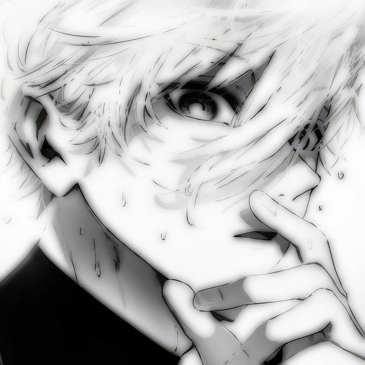 freudenberg avatar