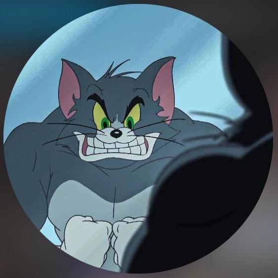 MoonSir avatar