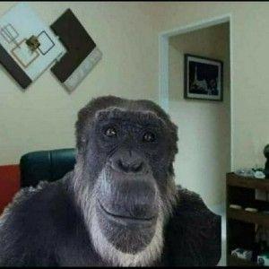 DANGERRHomie avatar