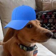 muzolf avatar