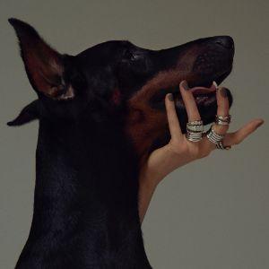 yastokhniyaz avatar