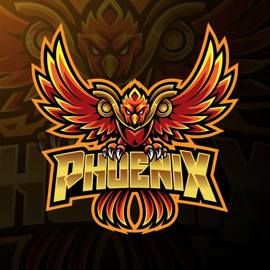 Player Phoenix_23_ avatar