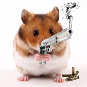 Goldhamster avatar