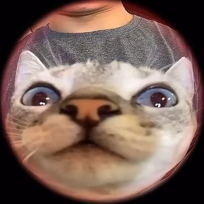 Glaces avatar