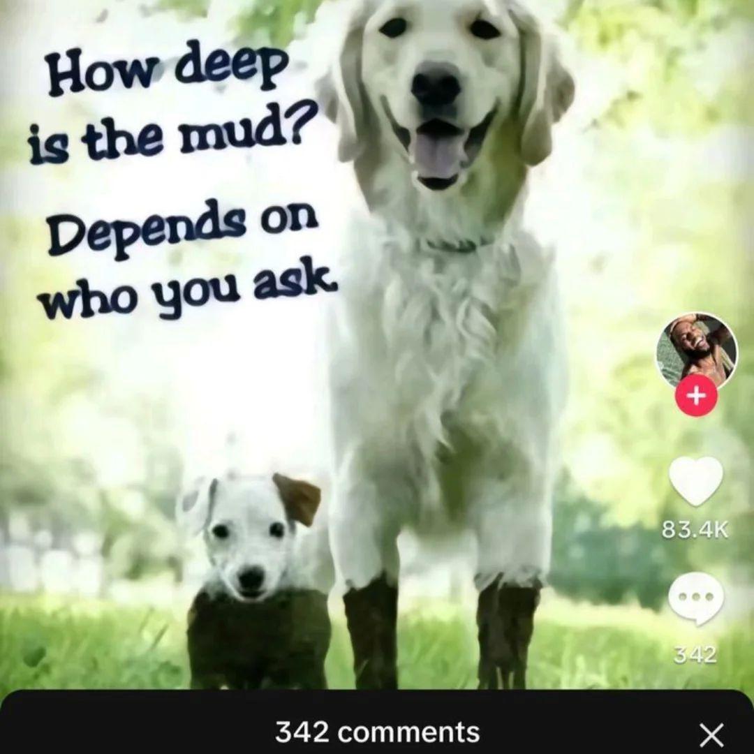 truman123456 avatar