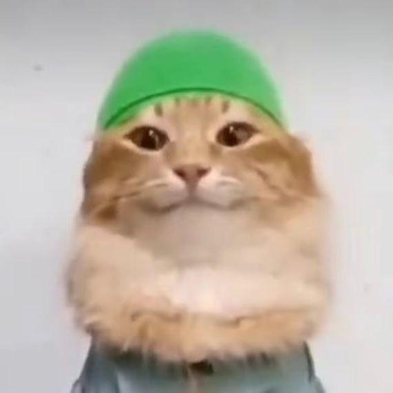 Yanixbtw avatar
