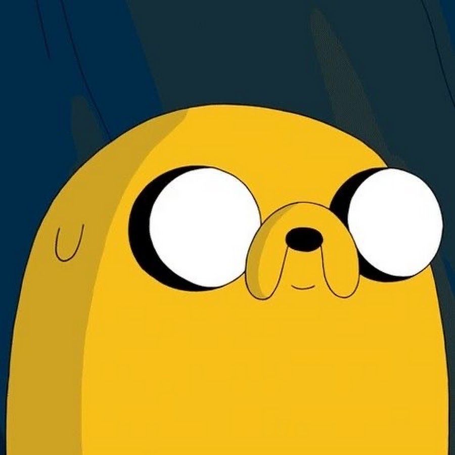 dmqzor avatar
