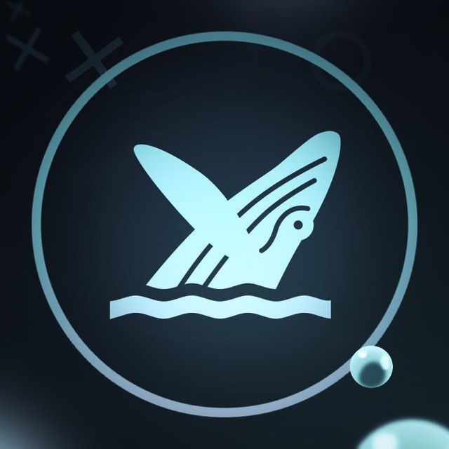 divebit