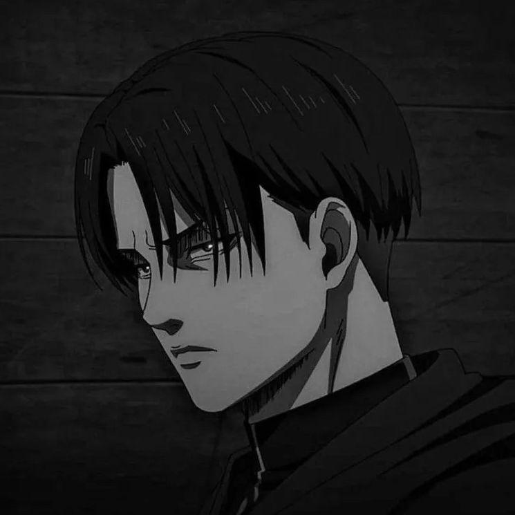 -shaurmechnk avatar