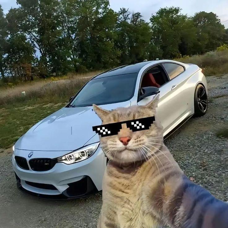 TwitchVolpix
