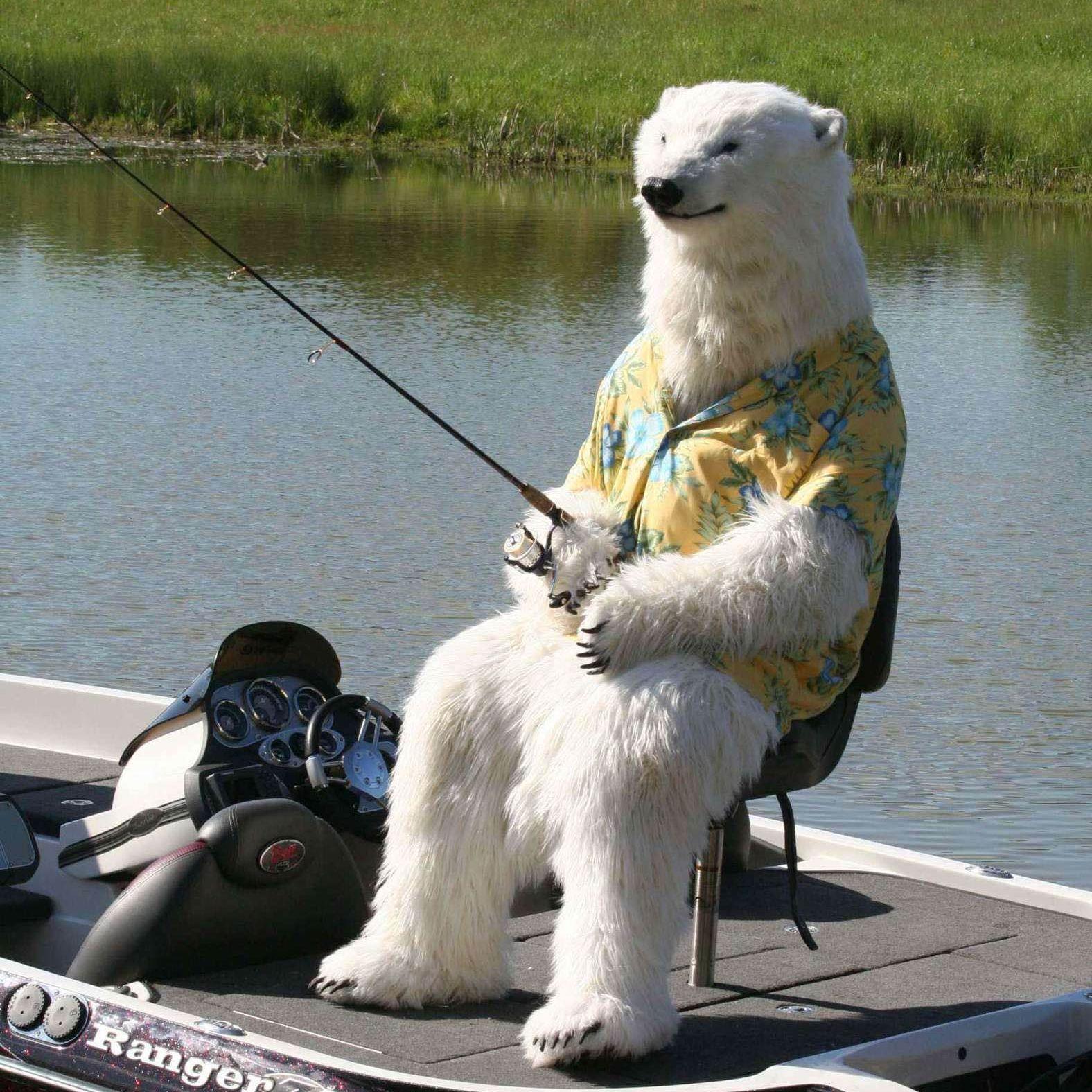 muikkuasd avatar